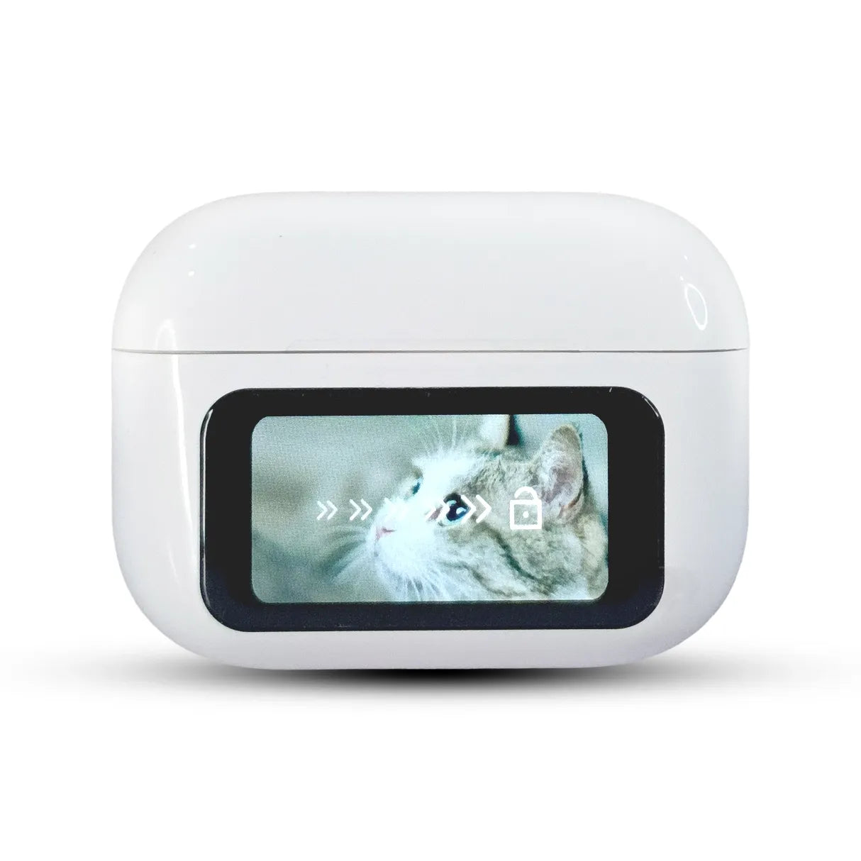 White pet on A-99 screen displaying a cat on a white background