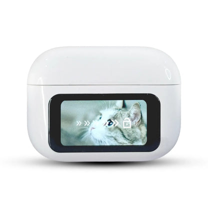 White pet on A-99 screen displaying a cat on a white background